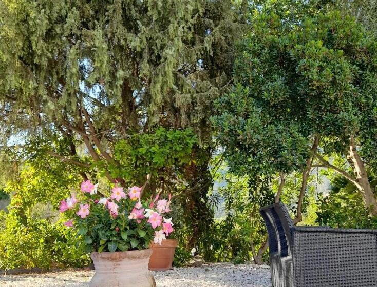 호텔 Agriturismo Palas De Serra Country Resort