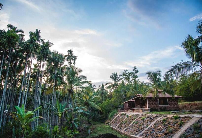 酒店 Dandeli Jungle Resort