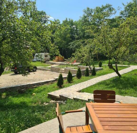פנסיון Complex Turistic Hor A