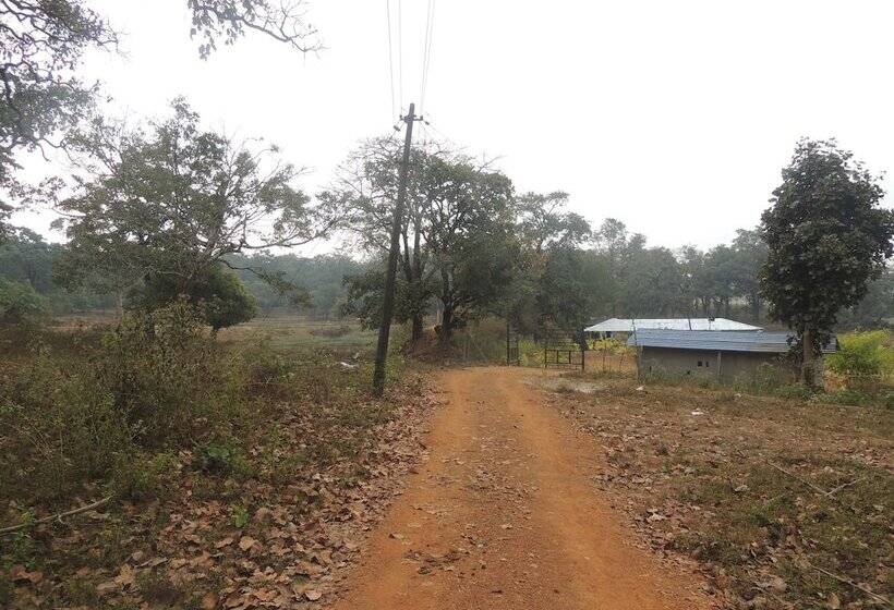 膳宿费 Room In Farmhouse   Dandeli   Aura Jungle Stay