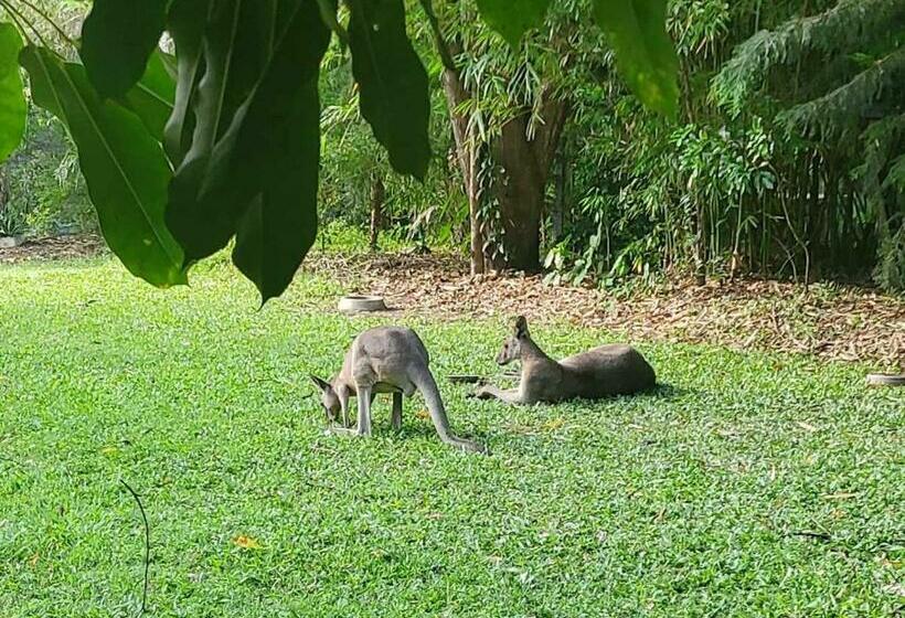 膳宿费 The Wake Up Call Accommodation & Retreats   Noosa Hinterland