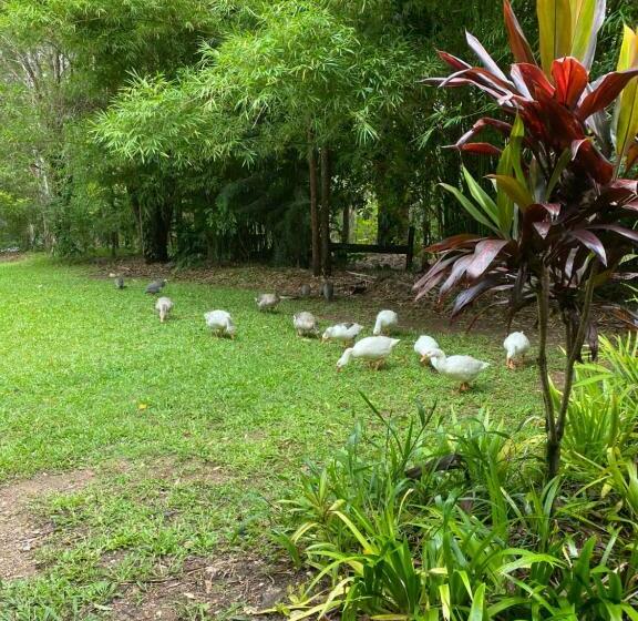 膳宿费 The Wake Up Call Accommodation & Retreats   Noosa Hinterland