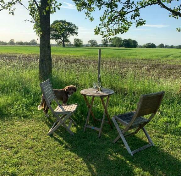 مبيت وإفطار Bluebell Barn