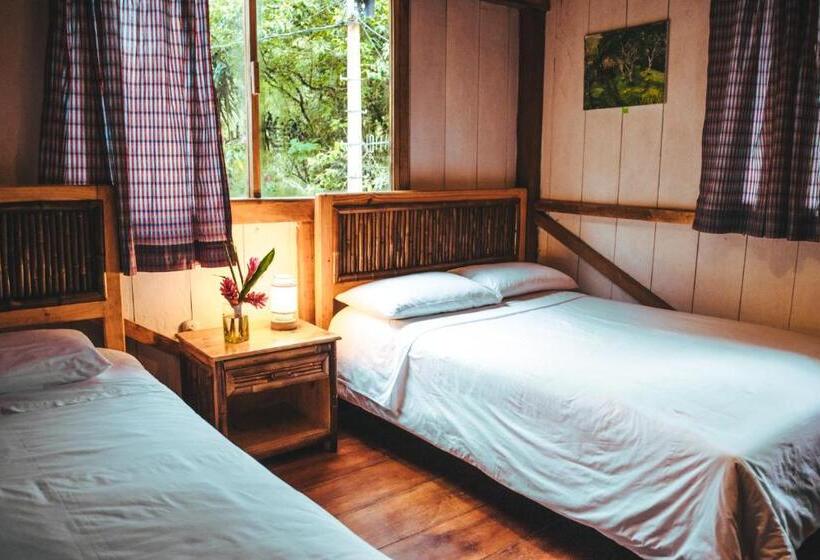 هتل El Abrazo Del Arbol