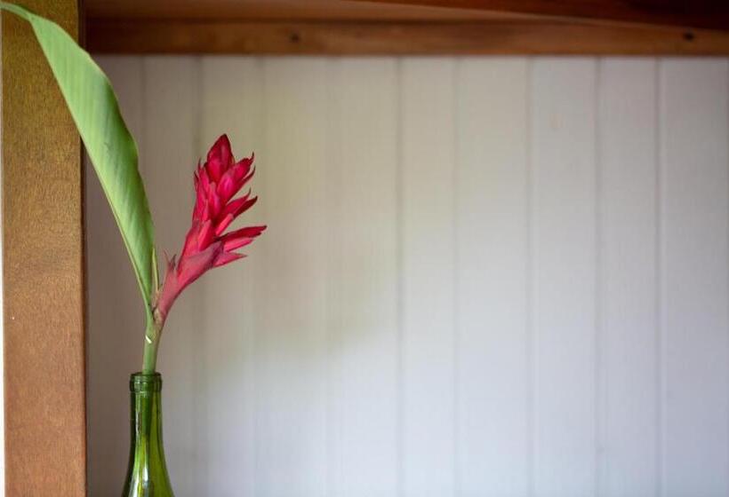 هتل El Abrazo Del Arbol