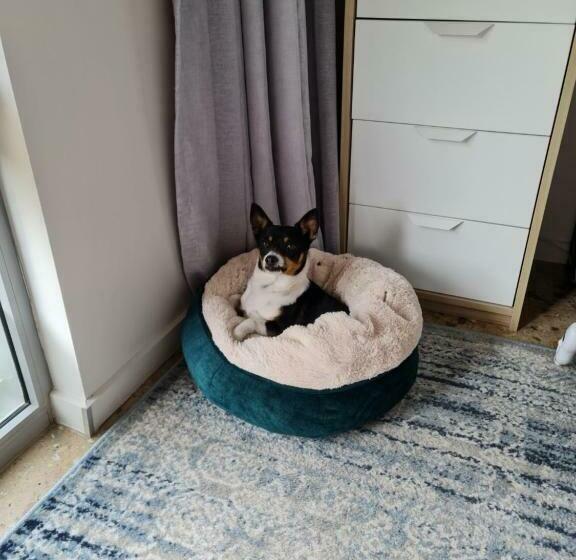 بنسيون Kathy S Room