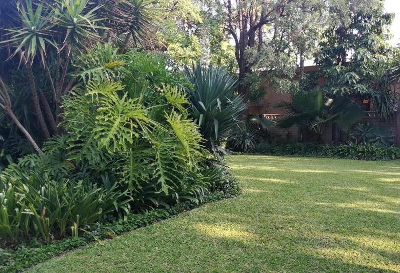 Pension Tree Aloe Guest House