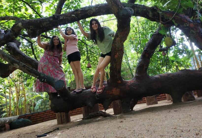 בית מלון כפרי Sigiriya Cashew Palace Resort
