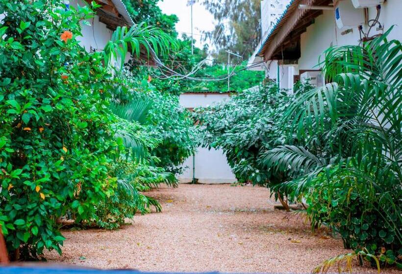 ペンション Tamu House Pajé Beach