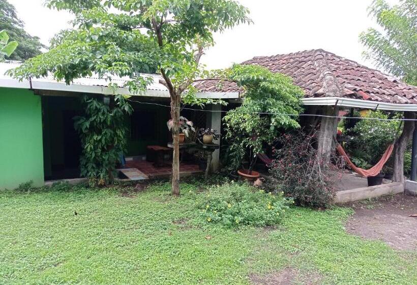 هاستل Loren S House