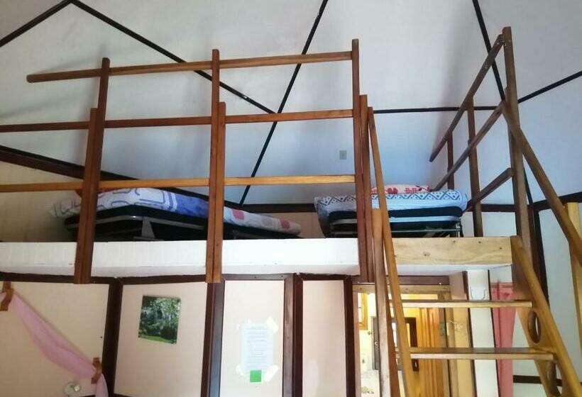 ホテル Cabañas Mountain River Lake Inn
