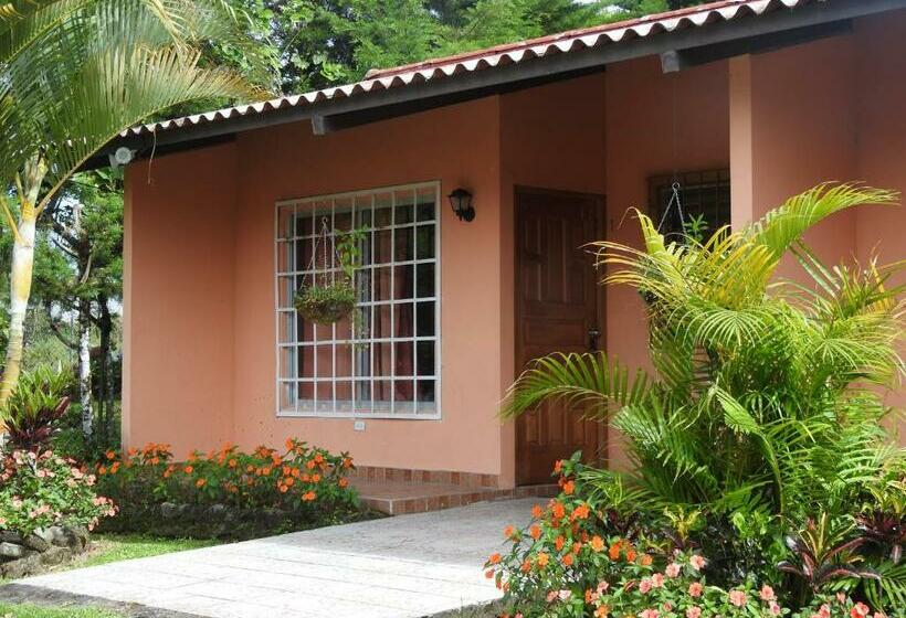 ホテル Cabañas Mountain River Lake Inn