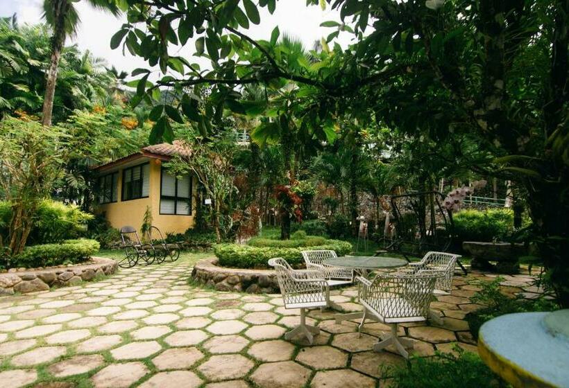 ホテル Palm Grove Hot Springs And Mountain Resort