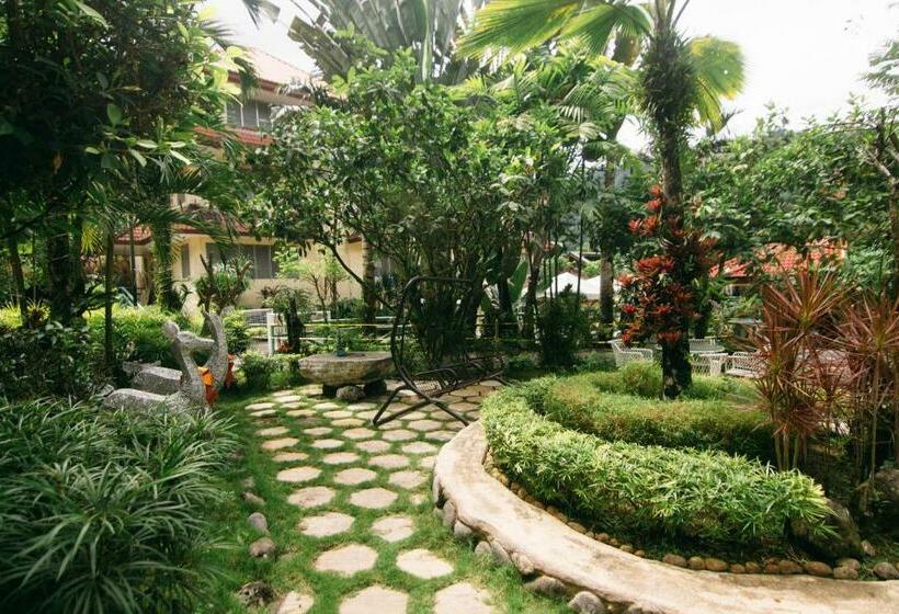 ホテル Palm Grove Hot Springs And Mountain Resort