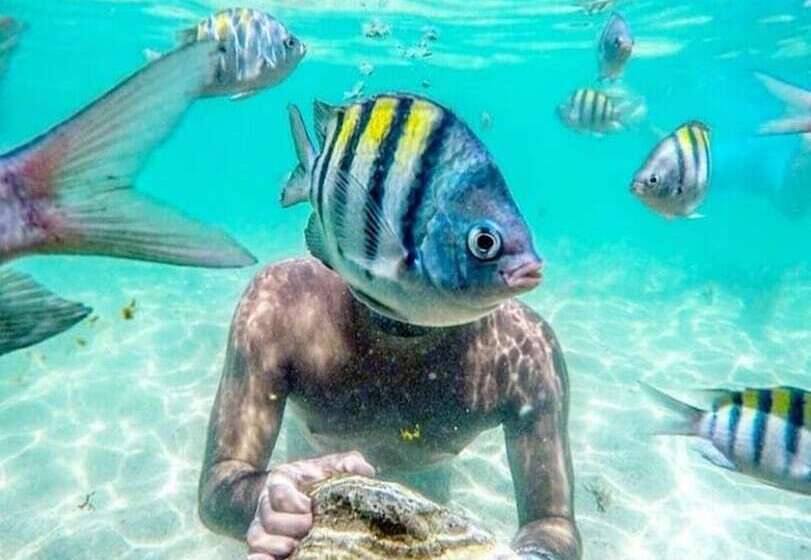 פנסיון B&b Beach House Pousada Exclusiva Pés Na água Pontal Do Peba única Em Alagoas