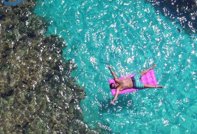 פנסיון B&b Beach House Pousada Exclusiva Pés Na água Pontal Do Peba única Em Alagoas