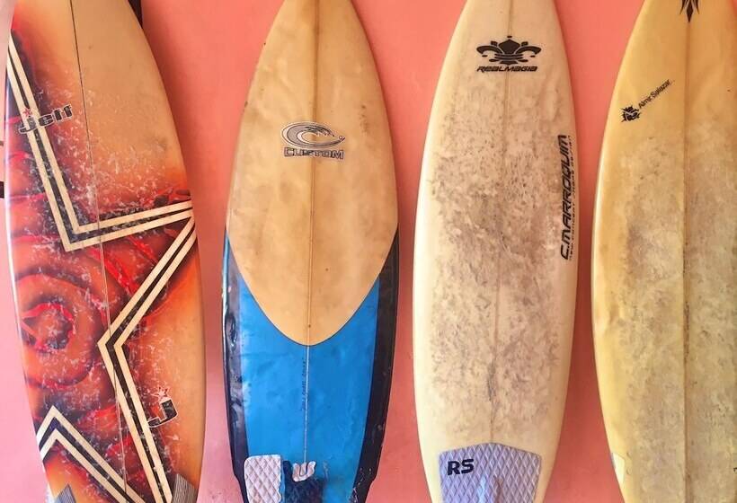 פנסיון B&b Beach House Pousada Exclusiva Pés Na água Pontal Do Peba única Em Alagoas