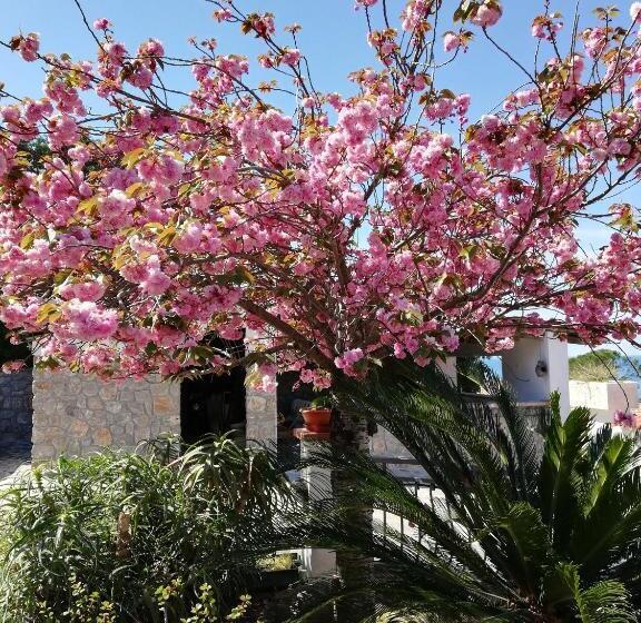 ベッドアンドブレックファースト La Tela Di Penelope