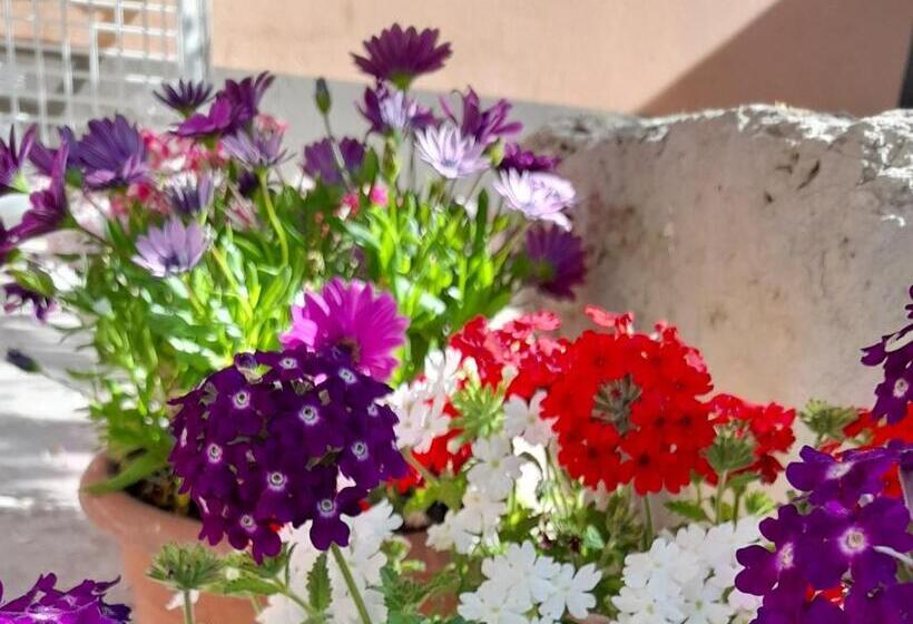 צימר Su Fassoi Cabras