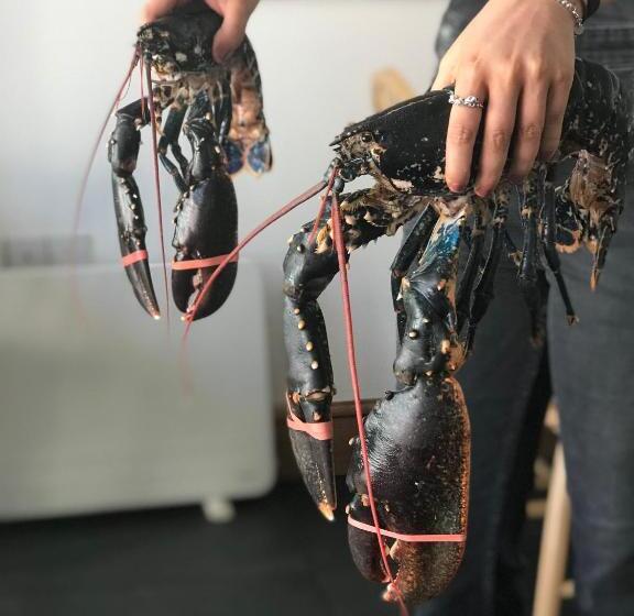 مبيت وإفطار The Cathedral Villas