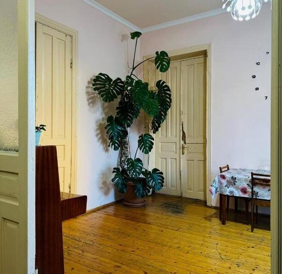پانسیون Guest House Bubu