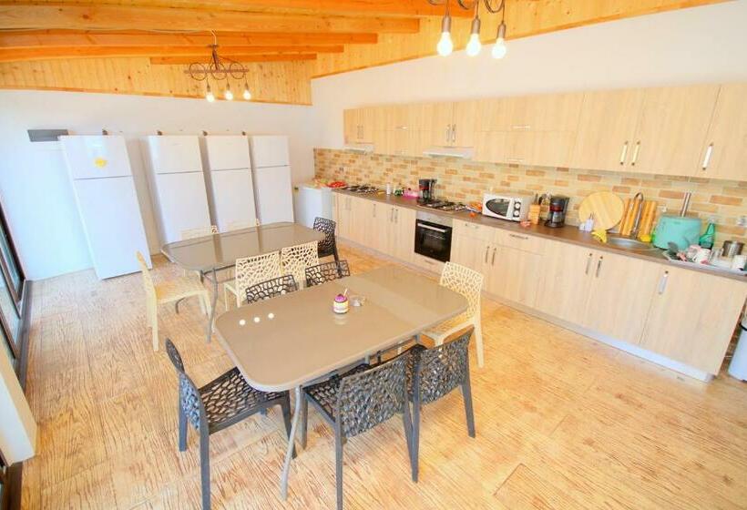 Пансион Mustaciosul Dunarii