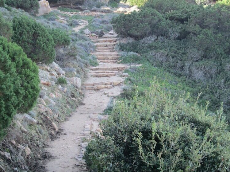 Costa Paradiso