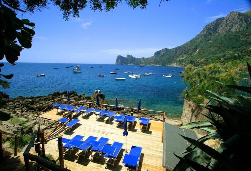 Olga's Relais