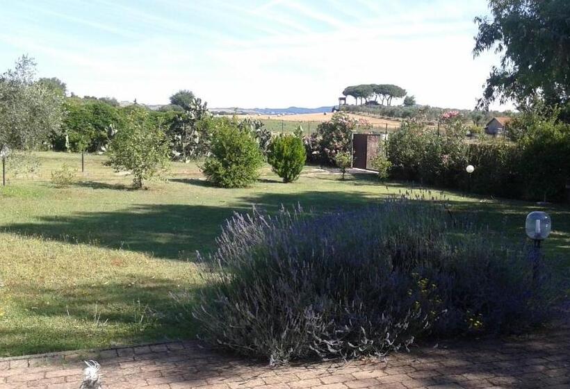 B&b Rolu