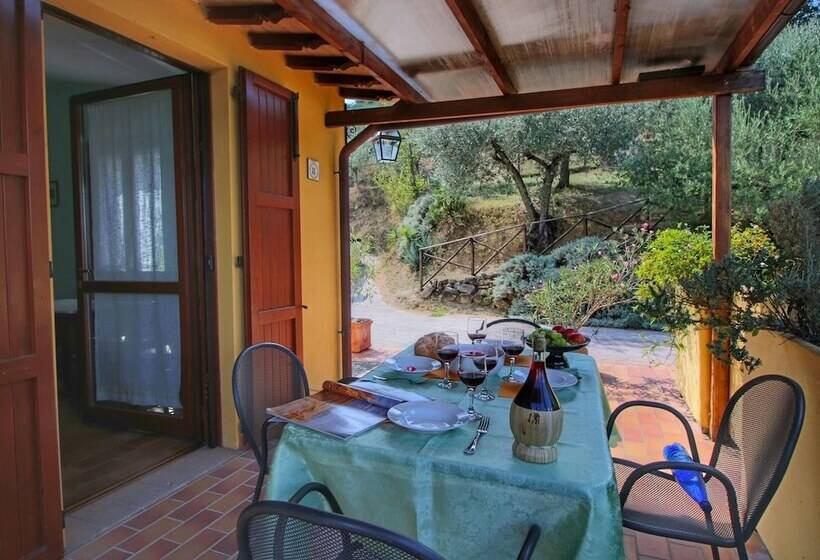 Country House With Swimming Pool And Garden With Mediterranean Plants