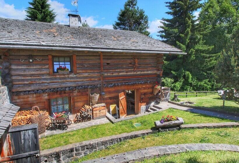 Fascinating Cottage In Bellamonte With Sauna