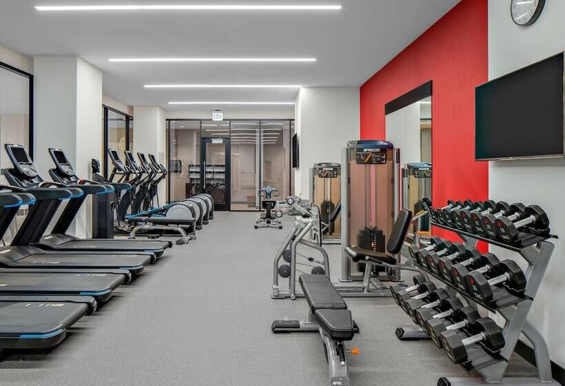 בית מלון כפרי Hilton Garden Inn Chicago Mccormick Place
