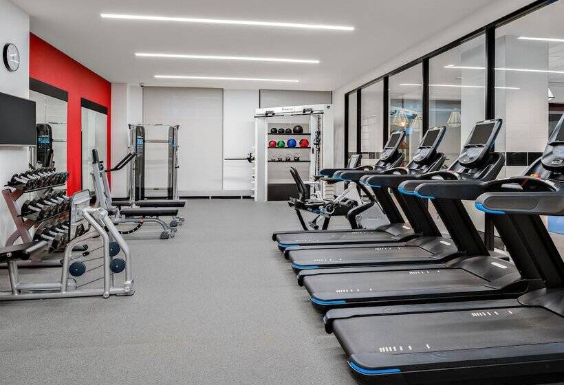 בית מלון כפרי Hilton Garden Inn Chicago Mccormick Place