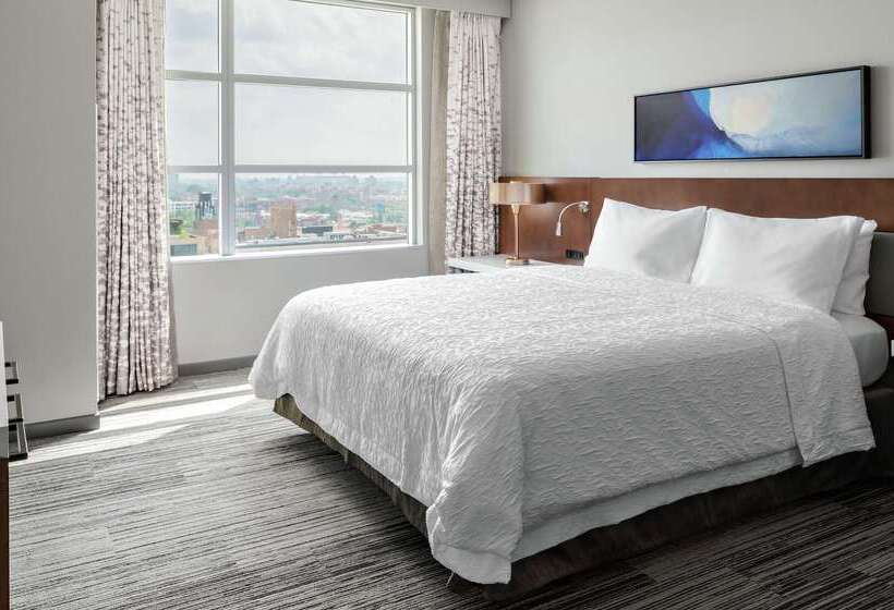 בית מלון כפרי Hilton Garden Inn Chicago Mccormick Place