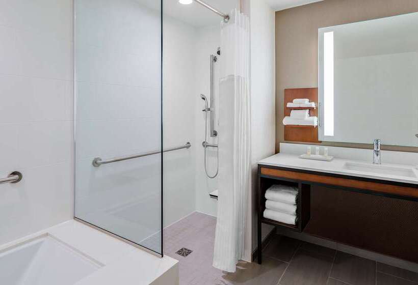 בית מלון כפרי Hilton Garden Inn Chicago Mccormick Place