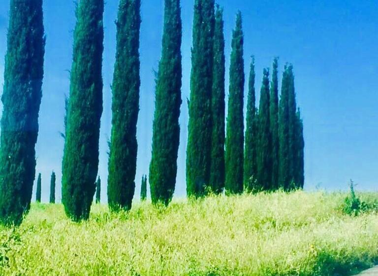 فندق Il Girasole Terzuolo