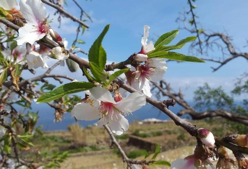 هتل Resort La Casa Dei Fiori