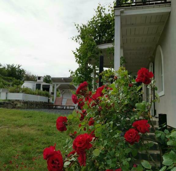 بنسيون Villa Izabella