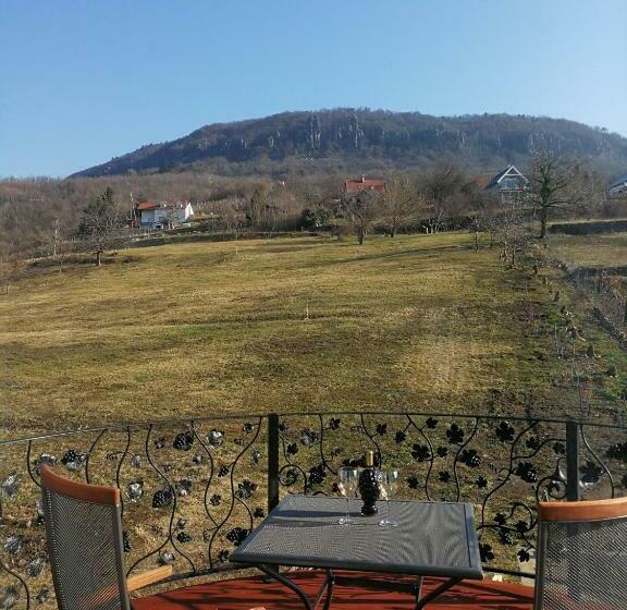 بنسيون Villa Izabella