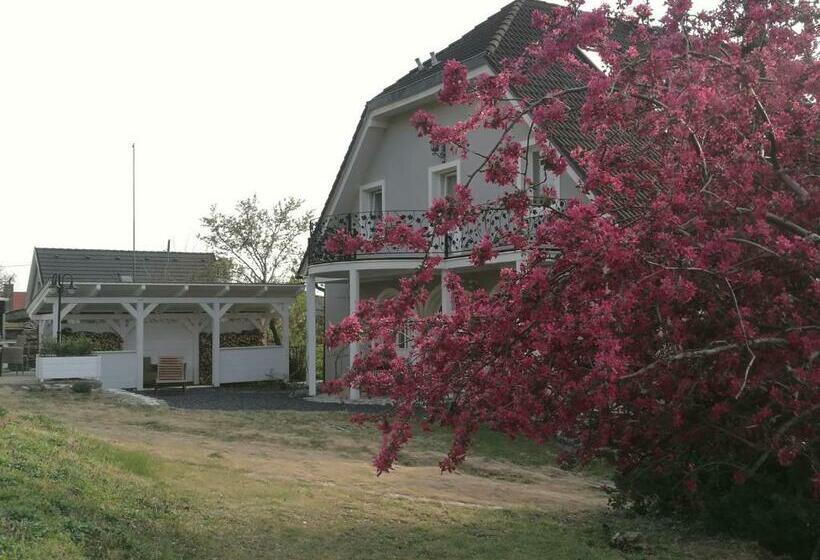 بنسيون Villa Izabella