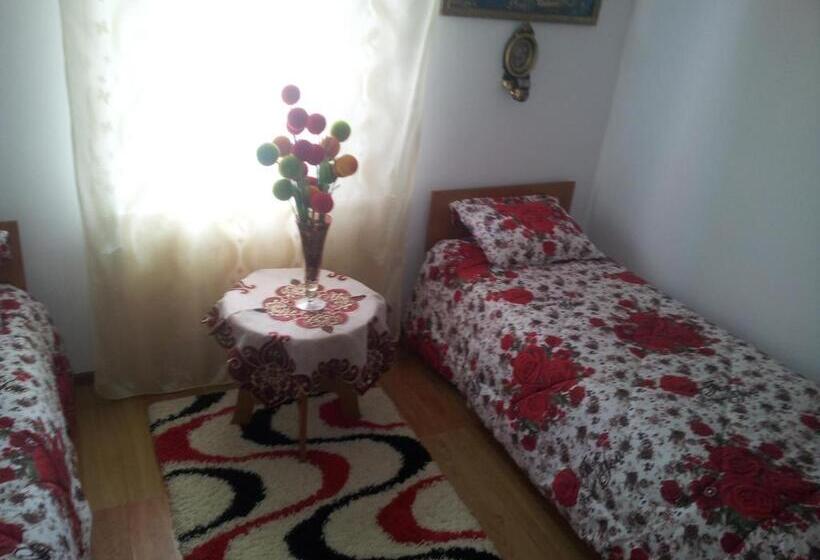 Pensiunea Floare De Bucovina