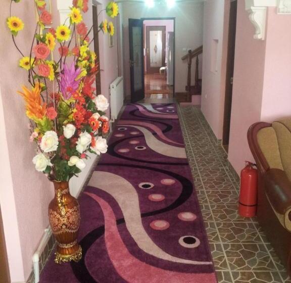 Pensiunea Floare De Bucovina