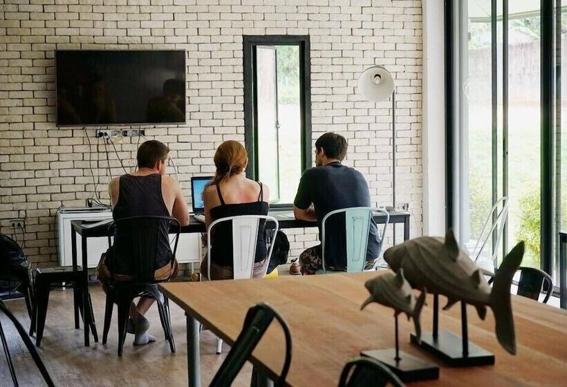 Albergue Monkey Dive Yolo Bungalow