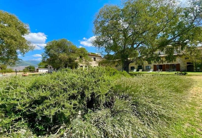 בית מלון כפרי Exclusive Pool Open All Year Spoleto Biofarm Slps 8 Village Shops, Bar1 Km 6