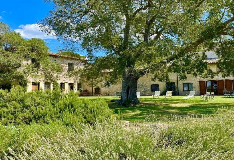 בית מלון כפרי Exclusive Pool Open All Year Spoleto Biofarm Slps 8 Village Shops, Bar1 Km 6