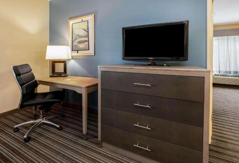 בית מלון כפרי La Quinta Inn & Suites By Wyndham Broussard   Lafayette Area