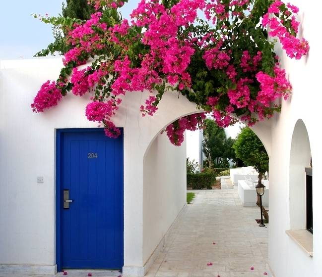 Aliathon Resort