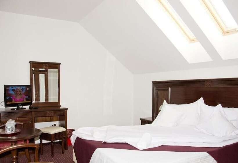 Hotel Hanul Domnesc