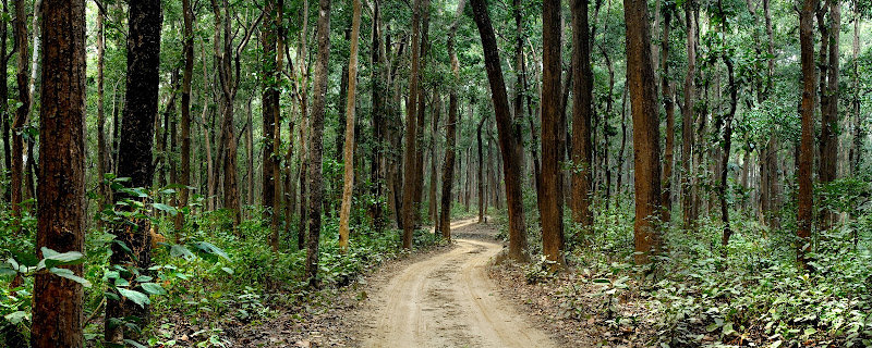 호텔 The Hideaway River Lodge