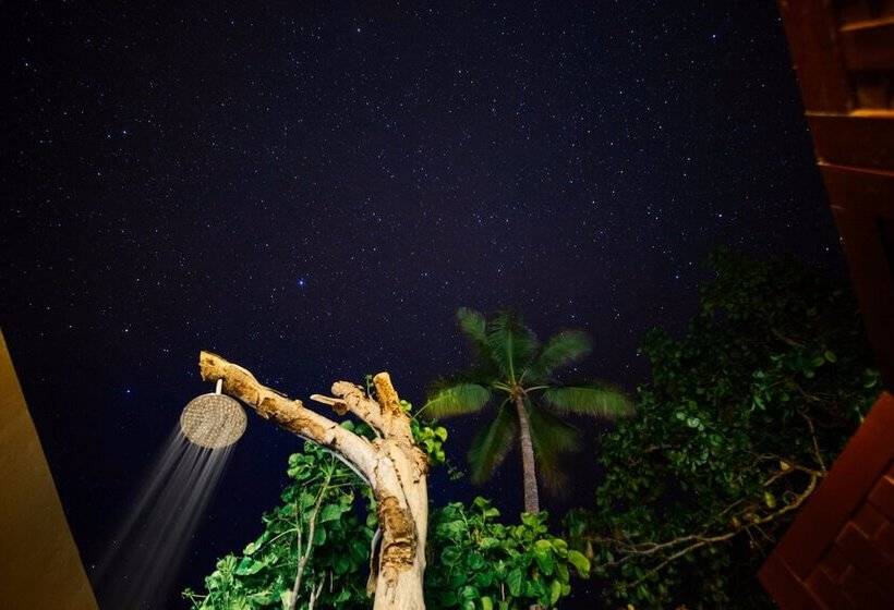 هتل Yasawa Island Resort